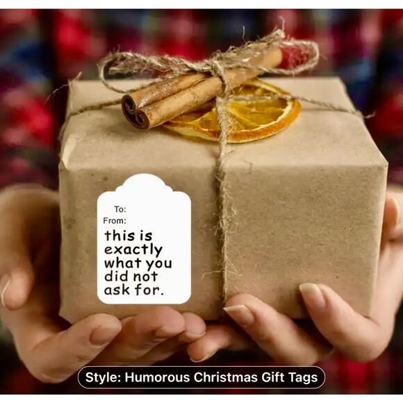 Funny Humorous Holiday Christmas Gift Tag Set 60 pc - Picture 1 of 6